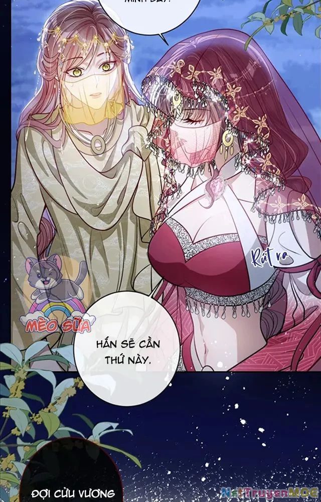 Nuông Chiều Mỹ Nhân Cuồng Nhiệt Chapter 53 - Trang 4