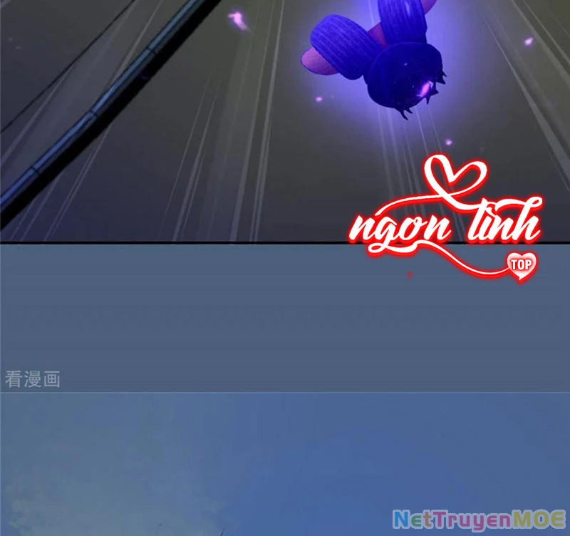 Tà Vương Phúc Hắc Sủng Nhập Cốt Chapter 216 - Trang 3