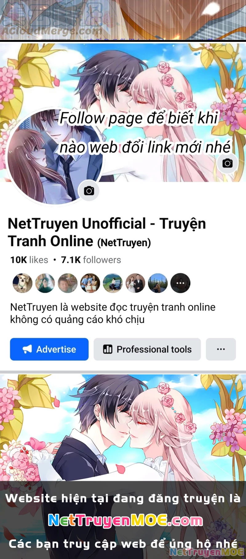 Tà Vương Phúc Hắc Sủng Nhập Cốt Chapter 228 - Trang 3