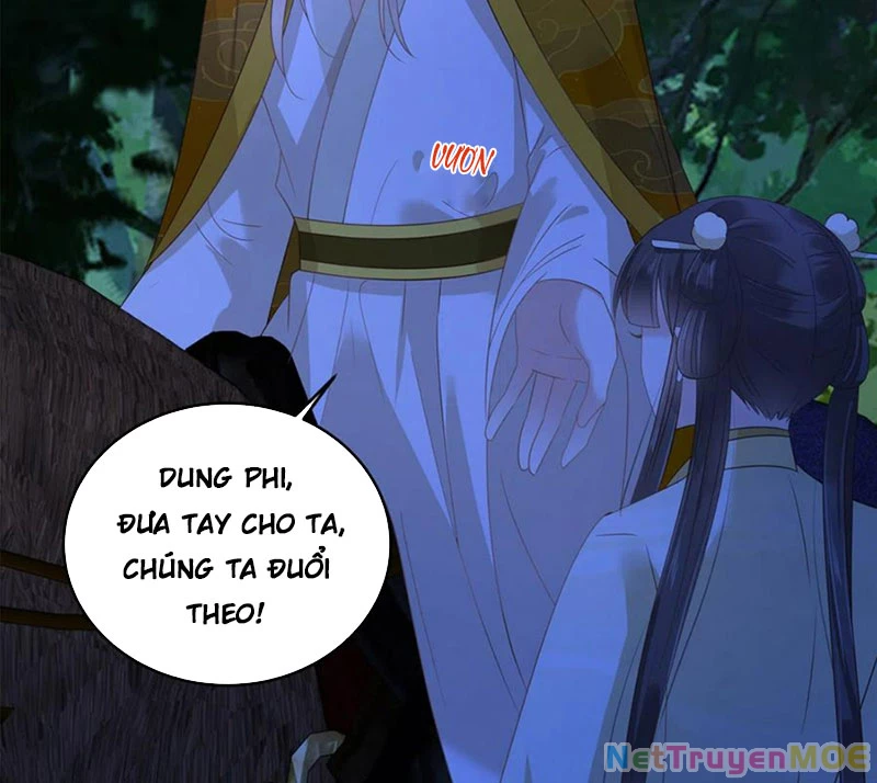 Tà Vương Phúc Hắc Sủng Nhập Cốt Chapter 248 - Trang 3