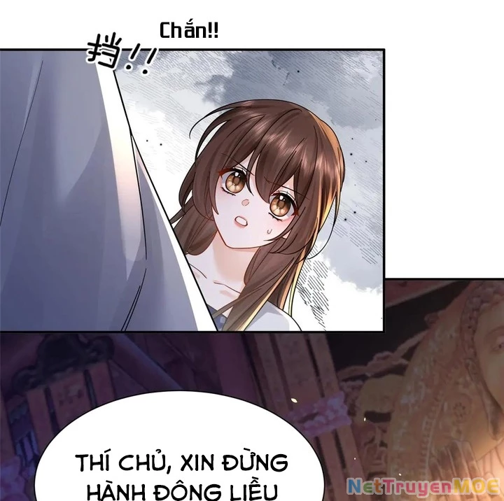 Thiều Quang Mạn Chapter 175 - Trang 4