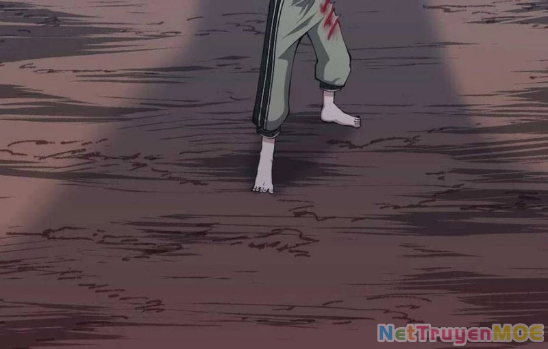 Ánh Sáng Cuối Con Đường Chapter 156.5 - Trang 2