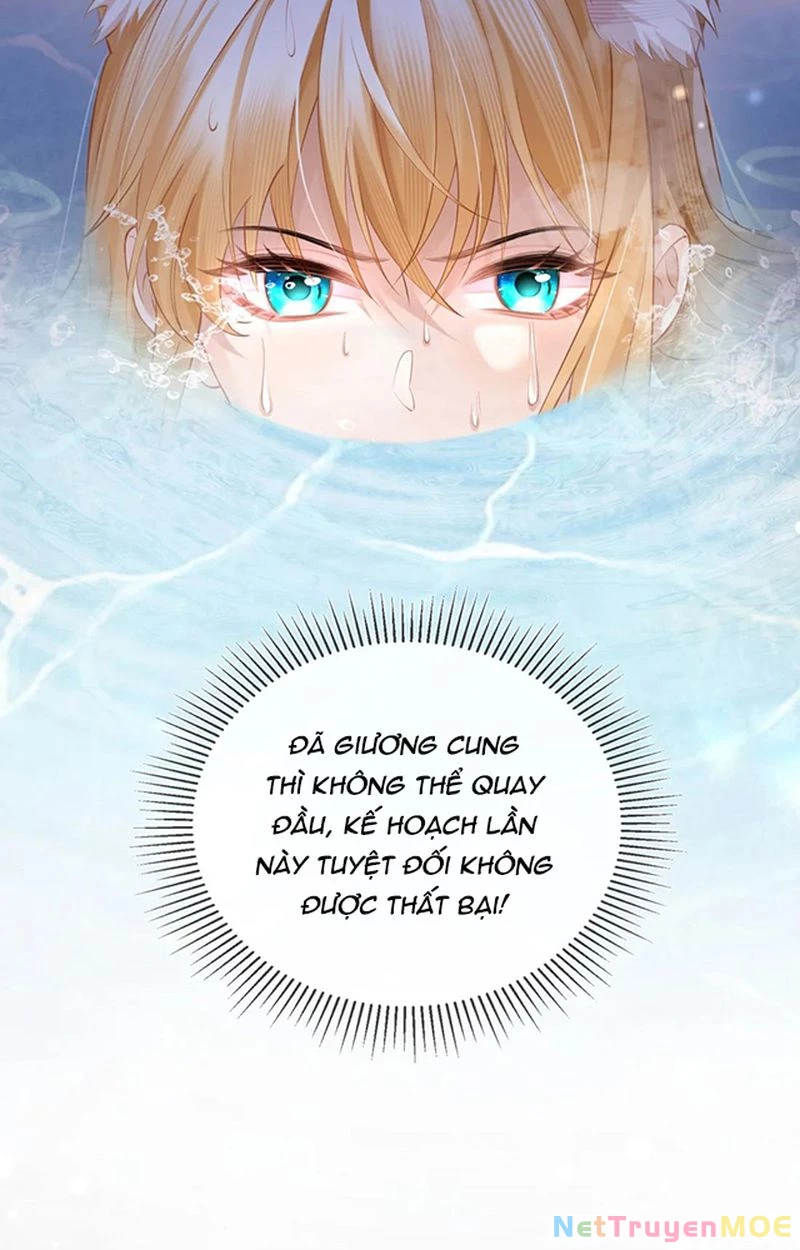 Thưa Ngài, Đuôi Của Ngài Không Giấu Được Nữa Rồi Chapter 2 - Trang 2