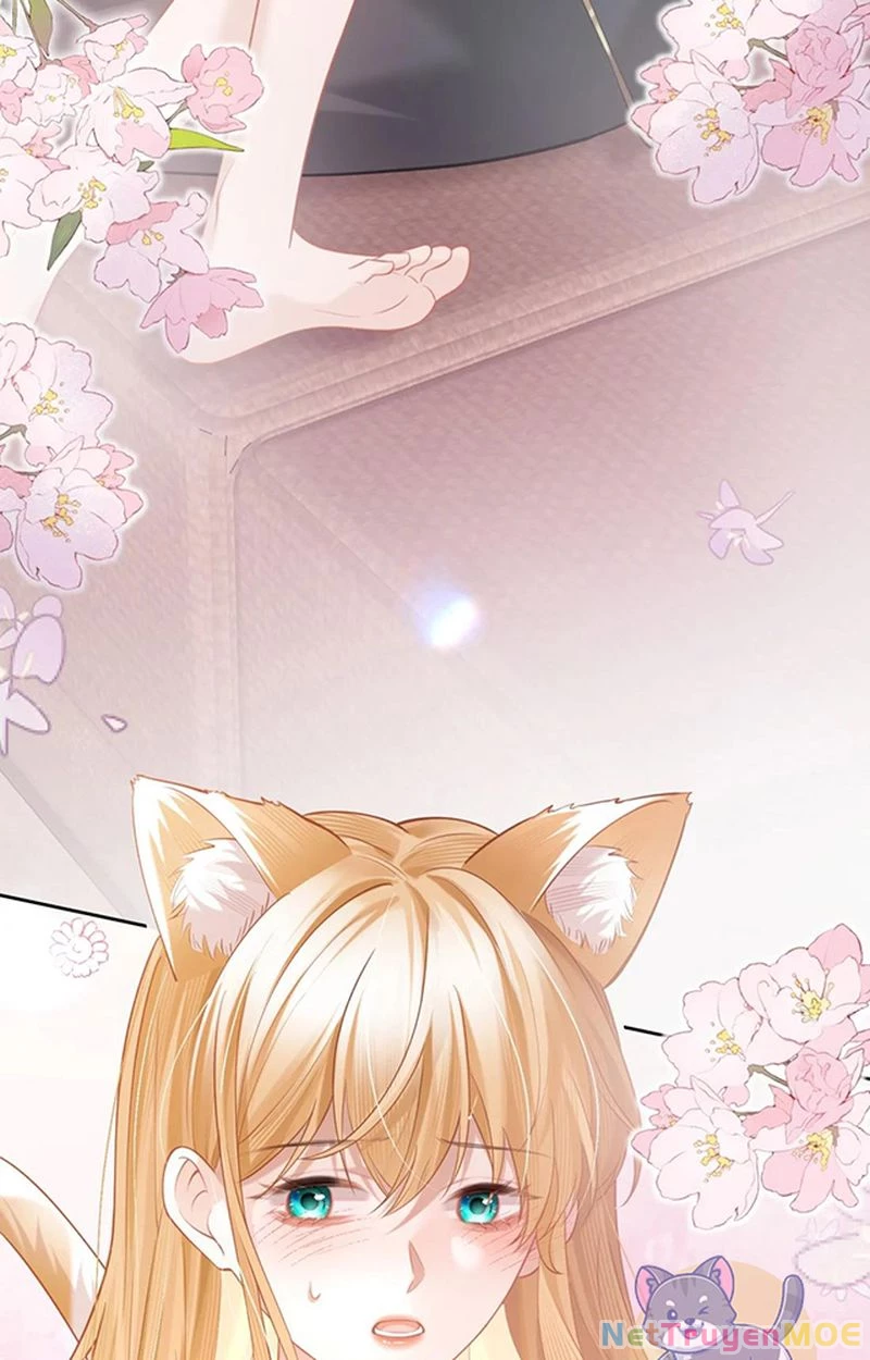 Thưa Ngài, Đuôi Của Ngài Không Giấu Được Nữa Rồi Chapter 2 - Trang 2
