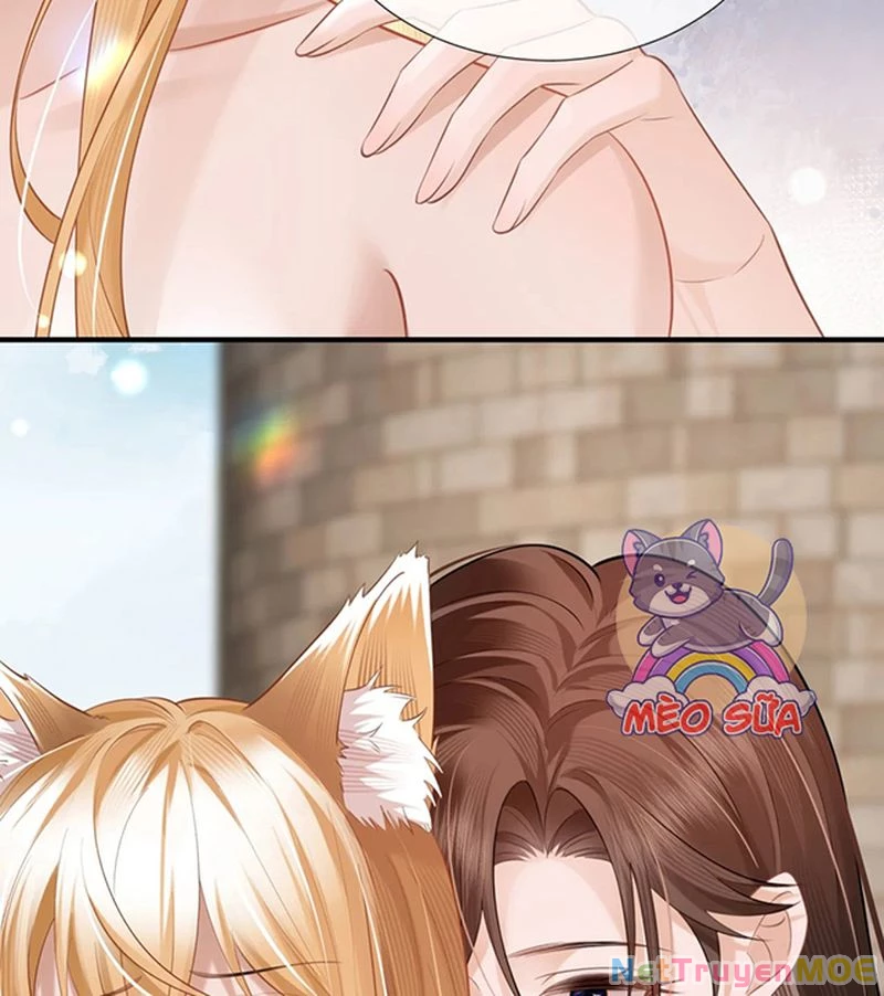 Thưa Ngài, Đuôi Của Ngài Không Giấu Được Nữa Rồi Chapter 4 - Trang 2