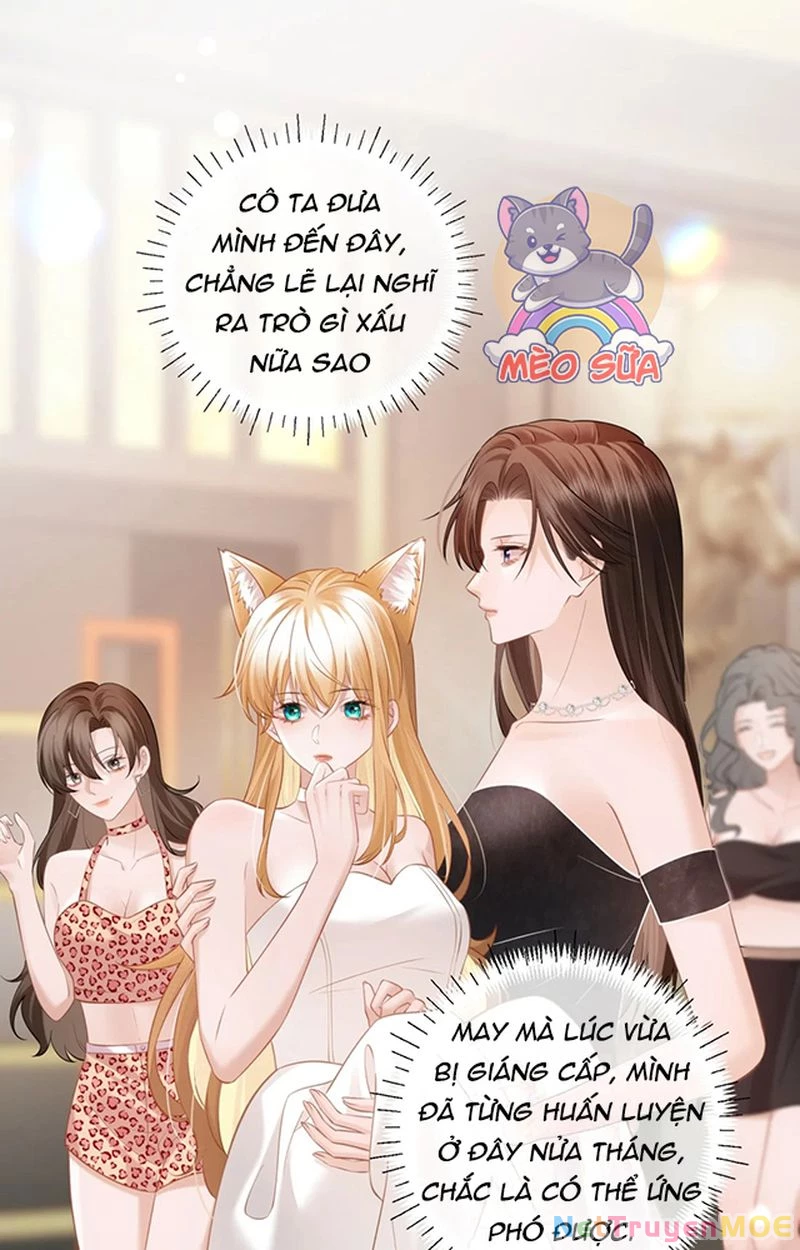 Thưa Ngài, Đuôi Của Ngài Không Giấu Được Nữa Rồi Chapter 6 - Trang 2