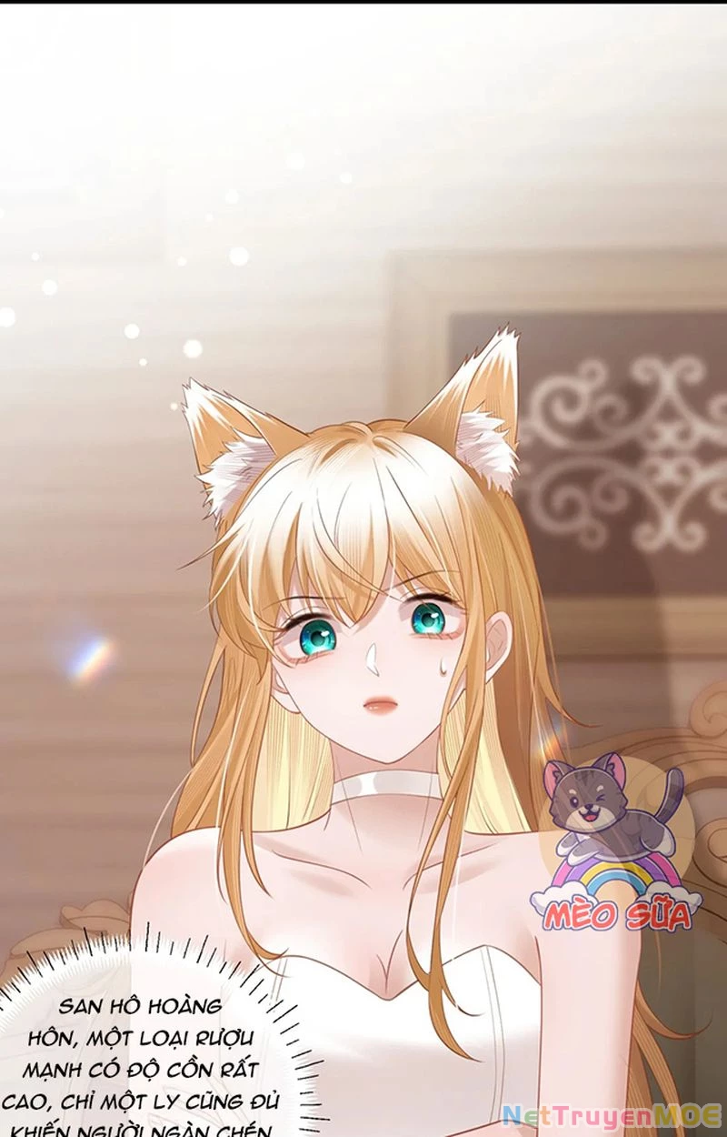 Thưa Ngài, Đuôi Của Ngài Không Giấu Được Nữa Rồi Chapter 6 - Trang 2