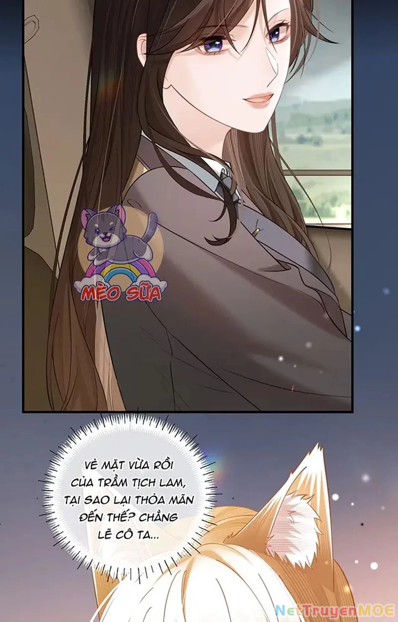 Thưa Ngài, Đuôi Của Ngài Không Giấu Được Nữa Rồi Chapter 11 - Next Chapter 12