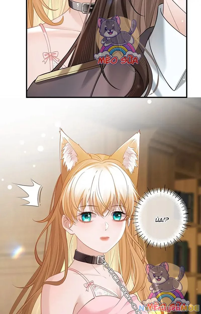 Thưa Ngài, Đuôi Của Ngài Không Giấu Được Nữa Rồi Chapter 11 - Next Chapter 12