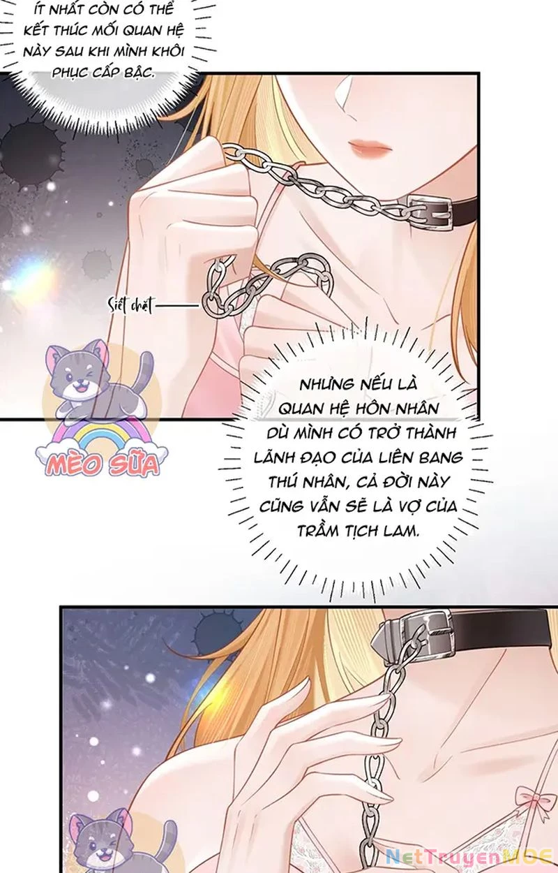 Thưa Ngài, Đuôi Của Ngài Không Giấu Được Nữa Rồi Chapter 11 - Next Chapter 12