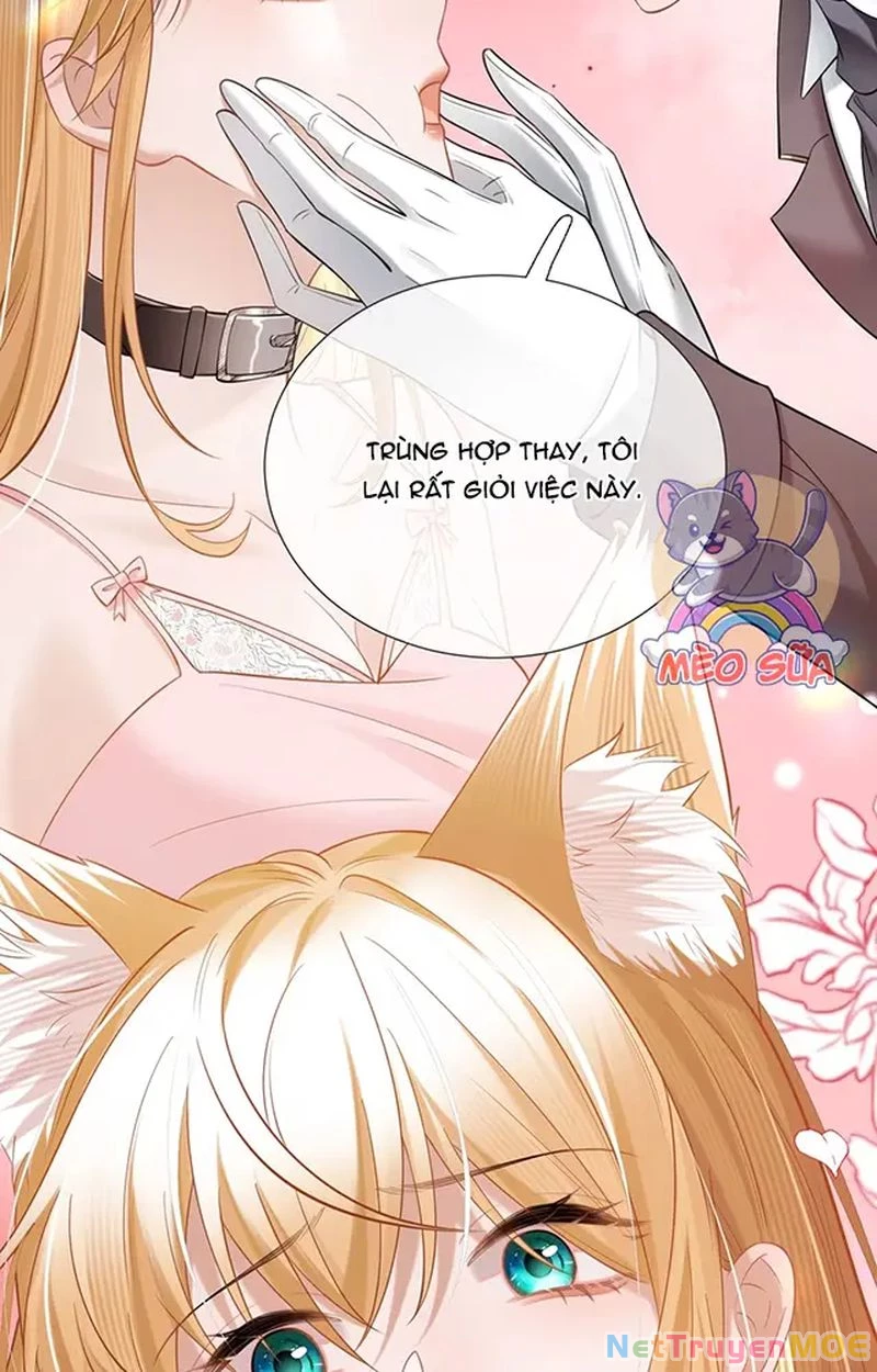 Thưa Ngài, Đuôi Của Ngài Không Giấu Được Nữa Rồi Chapter 11 - Next Chapter 12