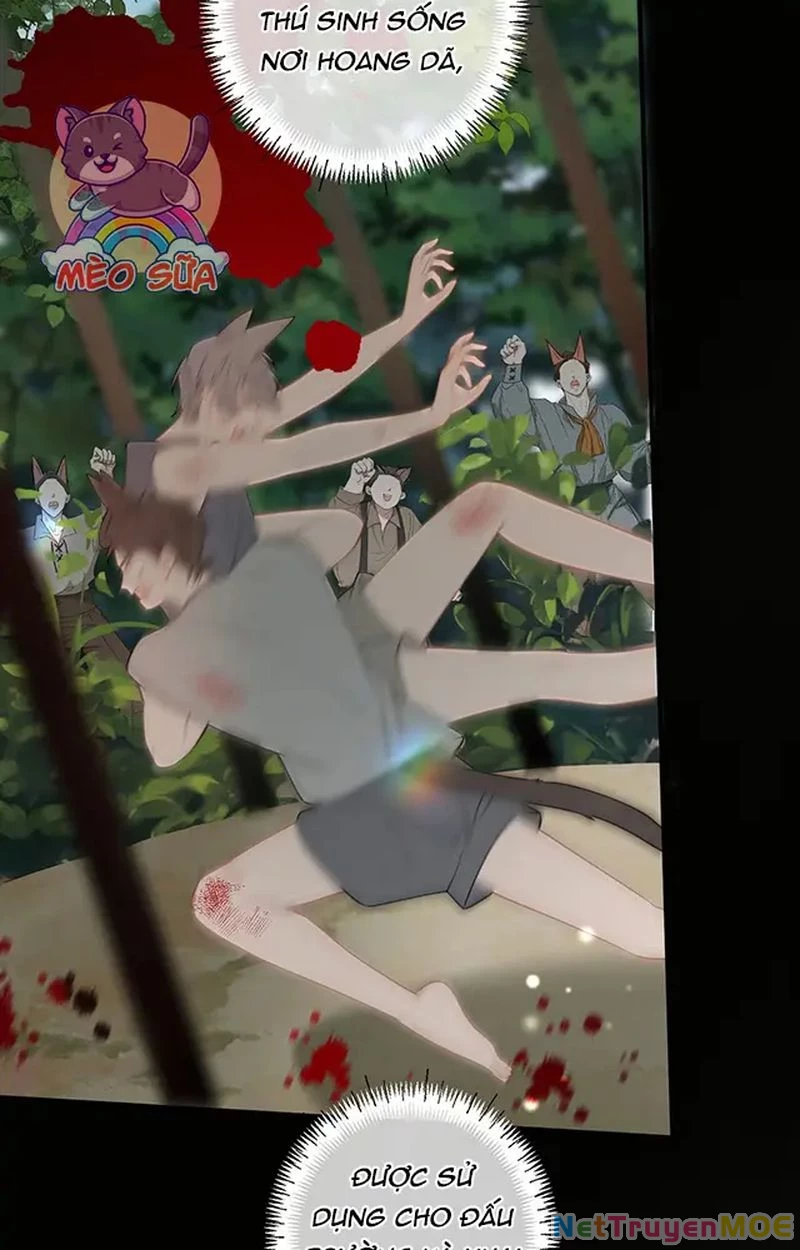 Thưa Ngài, Đuôi Của Ngài Không Giấu Được Nữa Rồi Chapter 12 - Next Chapter 13