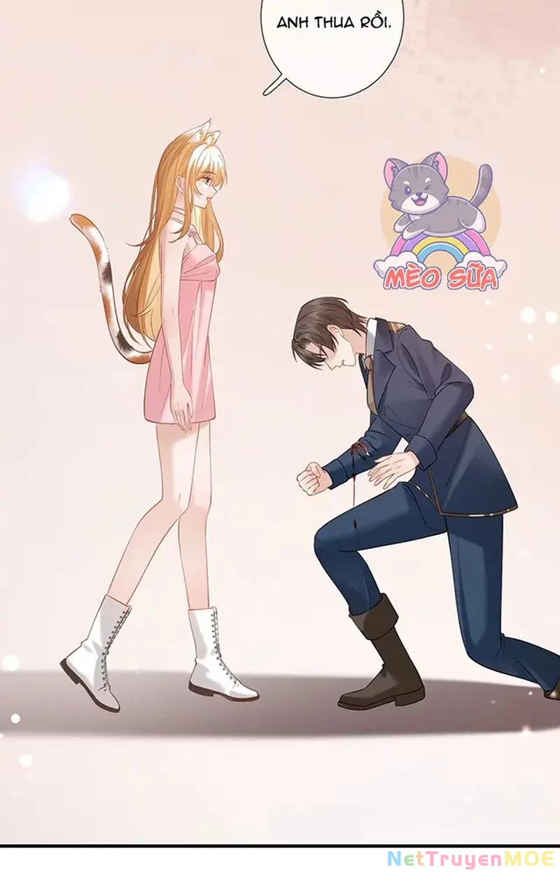 Thưa Ngài, Đuôi Của Ngài Không Giấu Được Nữa Rồi Chapter 12 - Next Chapter 13