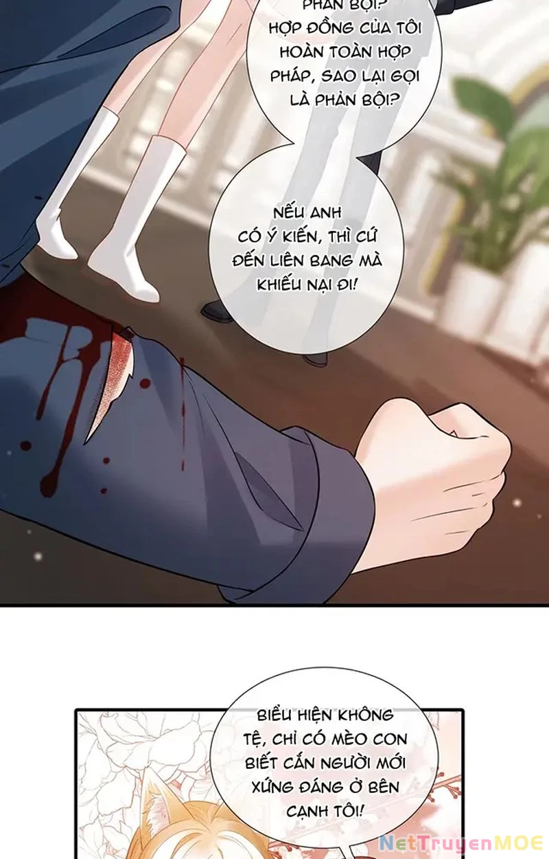 Thưa Ngài, Đuôi Của Ngài Không Giấu Được Nữa Rồi Chapter 12 - Trang 2