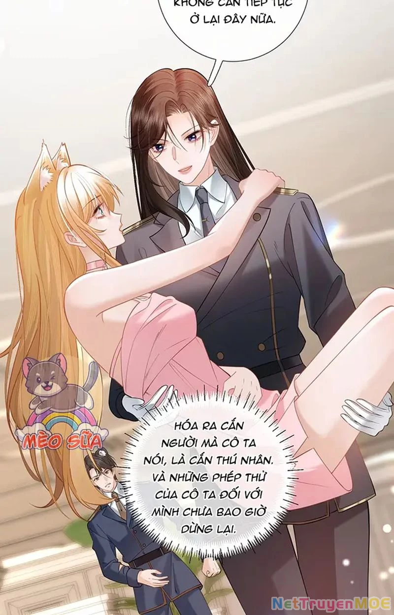 Thưa Ngài, Đuôi Của Ngài Không Giấu Được Nữa Rồi Chapter 12 - Next Chapter 13