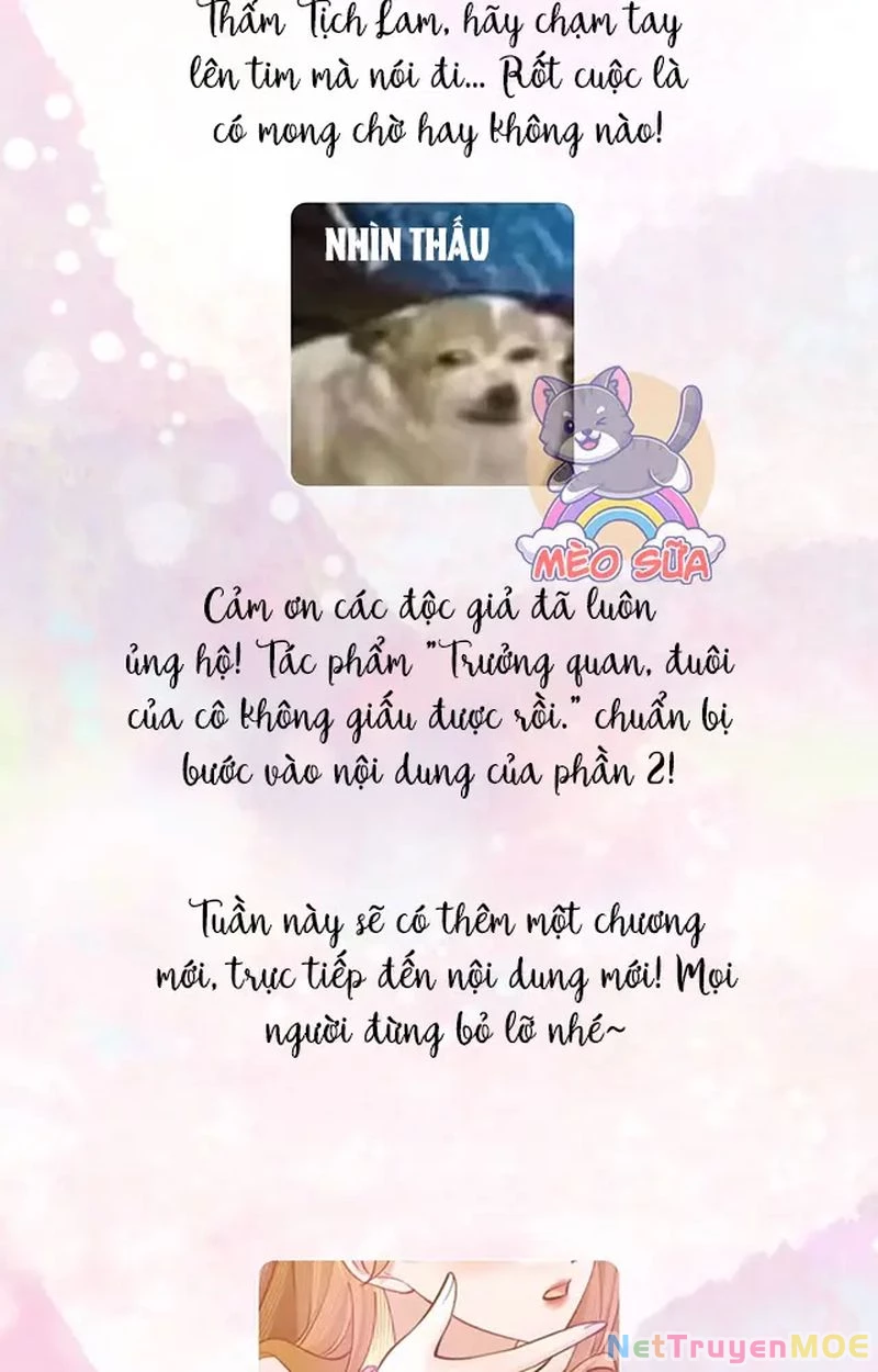 Thưa Ngài, Đuôi Của Ngài Không Giấu Được Nữa Rồi Chapter 12 - Trang 2