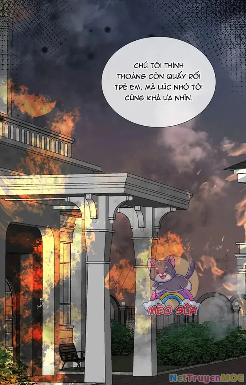 Thưa Ngài, Đuôi Của Ngài Không Giấu Được Nữa Rồi Chapter 14 - Trang 2