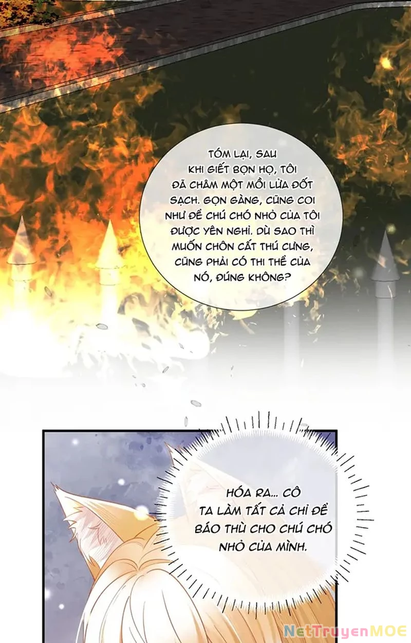 Thưa Ngài, Đuôi Của Ngài Không Giấu Được Nữa Rồi Chapter 14 - Trang 2