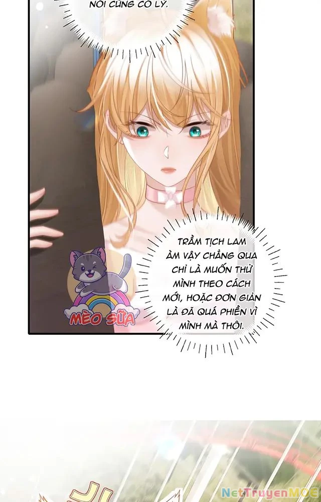Thưa Ngài, Đuôi Của Ngài Không Giấu Được Nữa Rồi Chapter 16 - Next Chapter 17