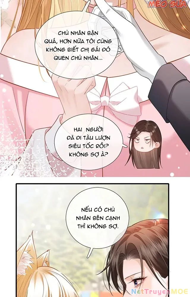 Thưa Ngài, Đuôi Của Ngài Không Giấu Được Nữa Rồi Chapter 16 - Next Chapter 17