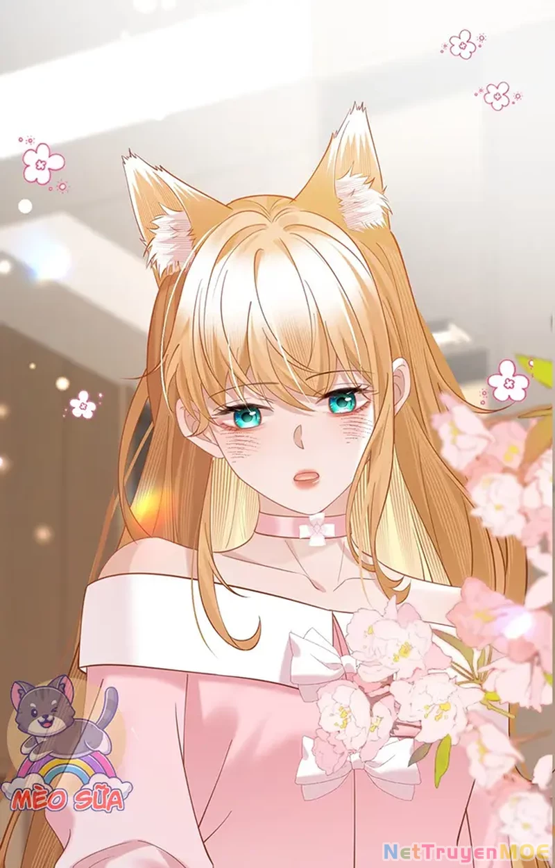 Thưa Ngài, Đuôi Của Ngài Không Giấu Được Nữa Rồi Chapter 18 - Trang 2