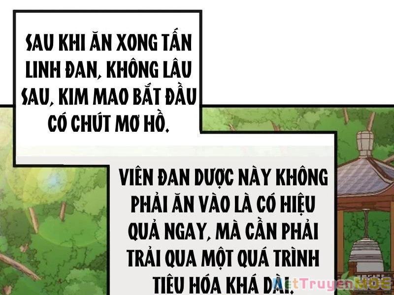 Mời công tử trảm yêu Chapter 143 - Next Chapter 144