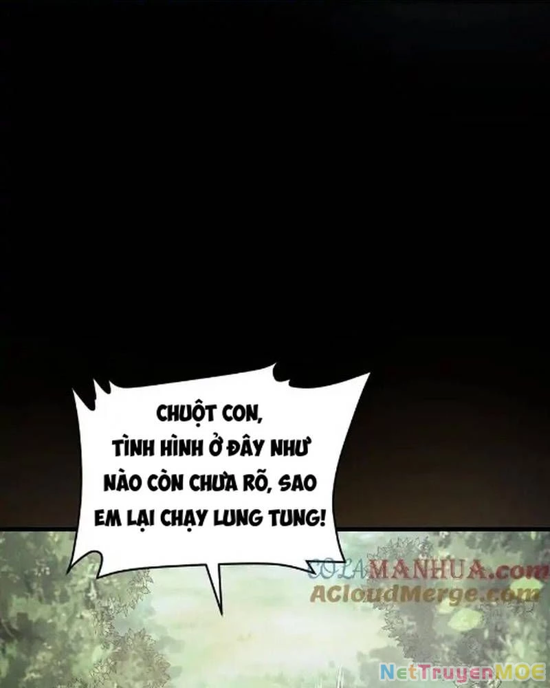 Mạt thế cầu sinh: Ta có thể nhìn thấy ẩn tàng hệ thống Chapter 141 - Trang 3