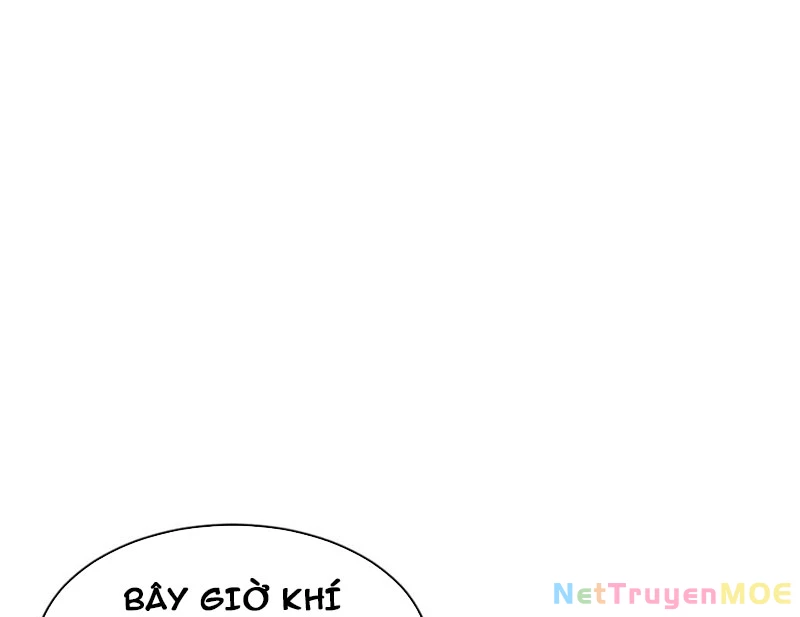 Sư Tôn: Nghịch Đồ Này Mới Không Phải Là Thánh Tử Chapter 119 - Trang 3