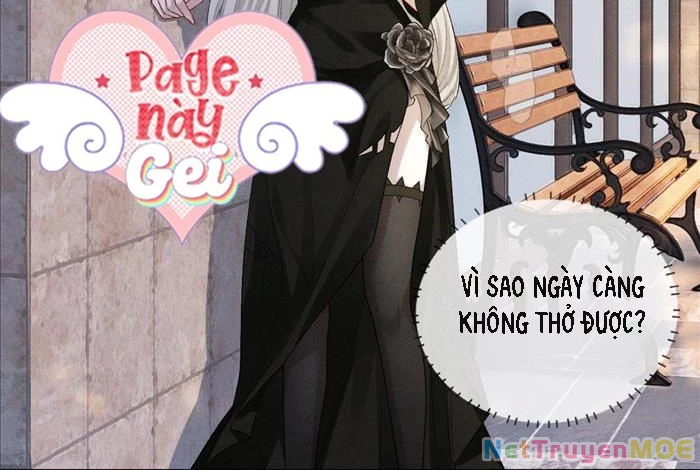 Đêm Tối Khẽ Hôn Tôi Chapter 4 - Trang 2