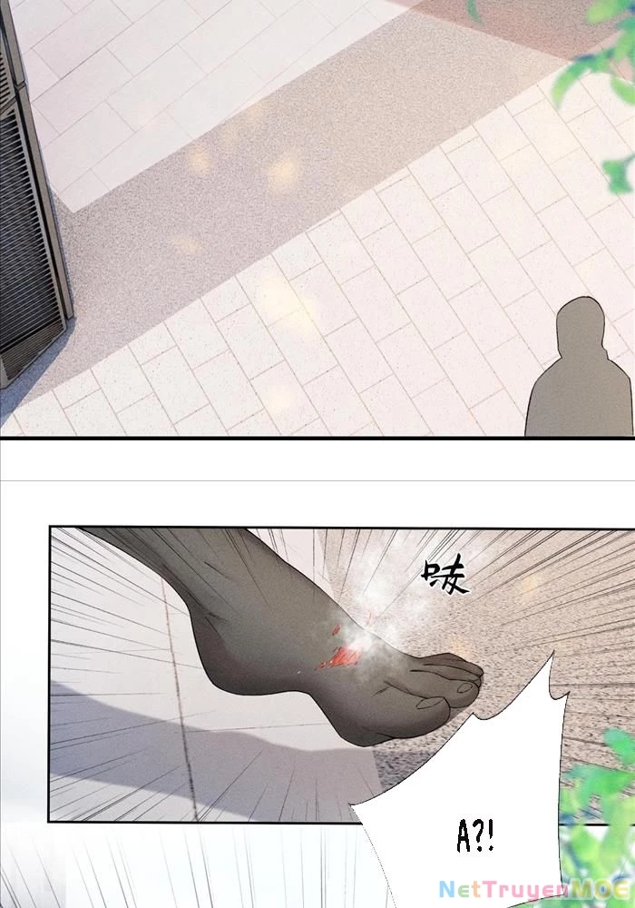 Đêm Tối Khẽ Hôn Tôi Chapter 4 - Trang 2