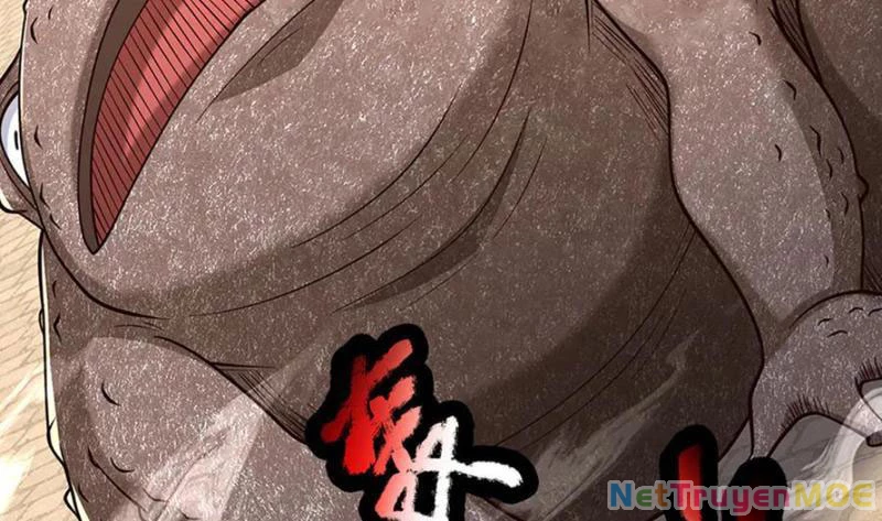 Kiếm Tiên Võ Đế: Bắt đầu Huyền Vũ môn chi biến Chapter 222 - Next Chapter 223