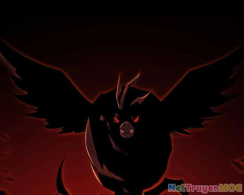 Trước mặt bệnh tâm thần, quỷ dị chẳng là gì cả Chapter 94 - Next Chapter 95