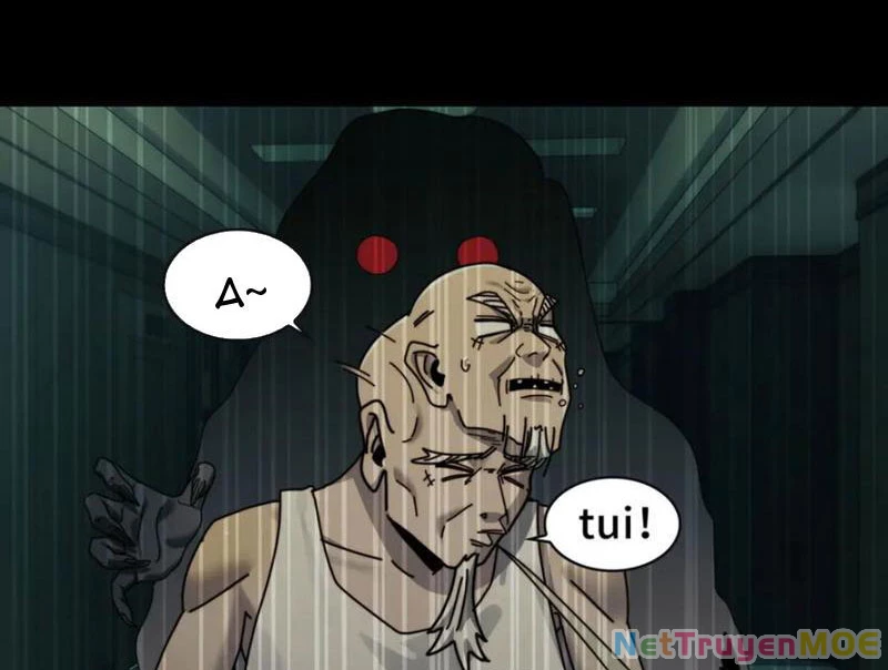 Trước mặt bệnh tâm thần, quỷ dị chẳng là gì cả Chapter 104 - Trang 3