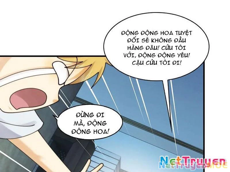 Trước mặt bệnh tâm thần, quỷ dị chẳng là gì cả Chapter 116 - Trang 3