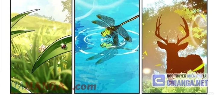 Chung Cực Đấu La Chapter 611 - Trang 3