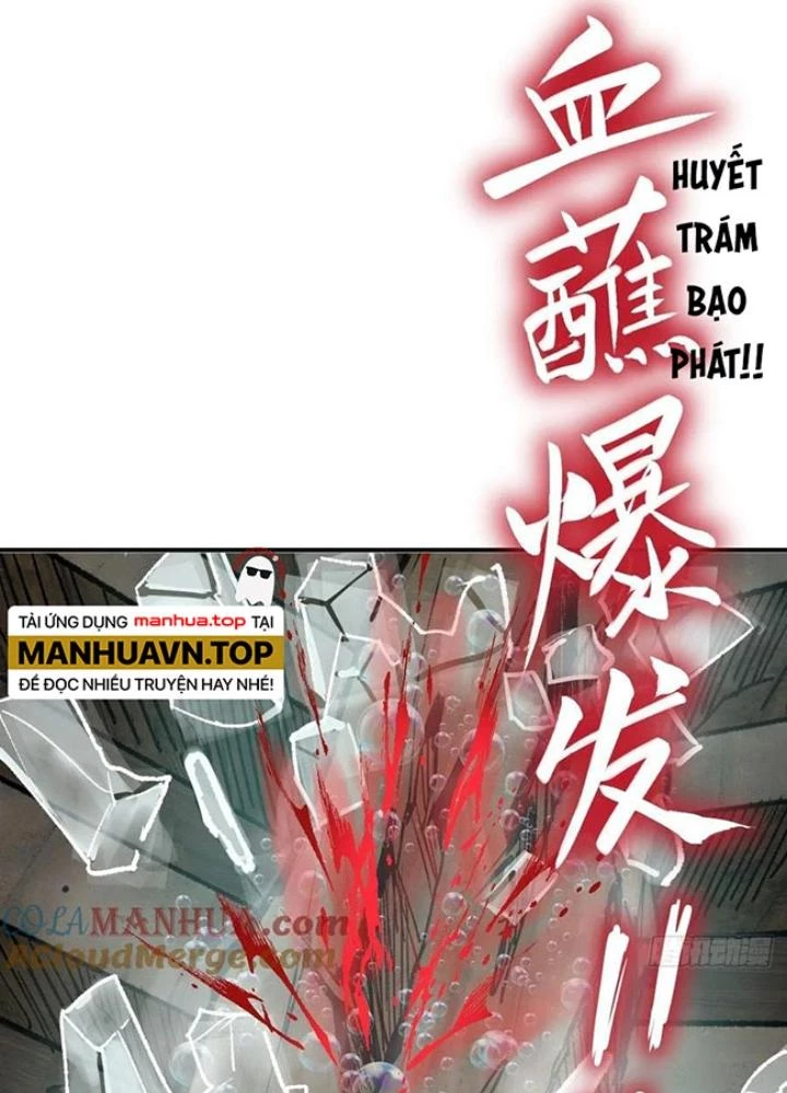 Xuyên Không Thành Chim Chapter 235 - Trang 2