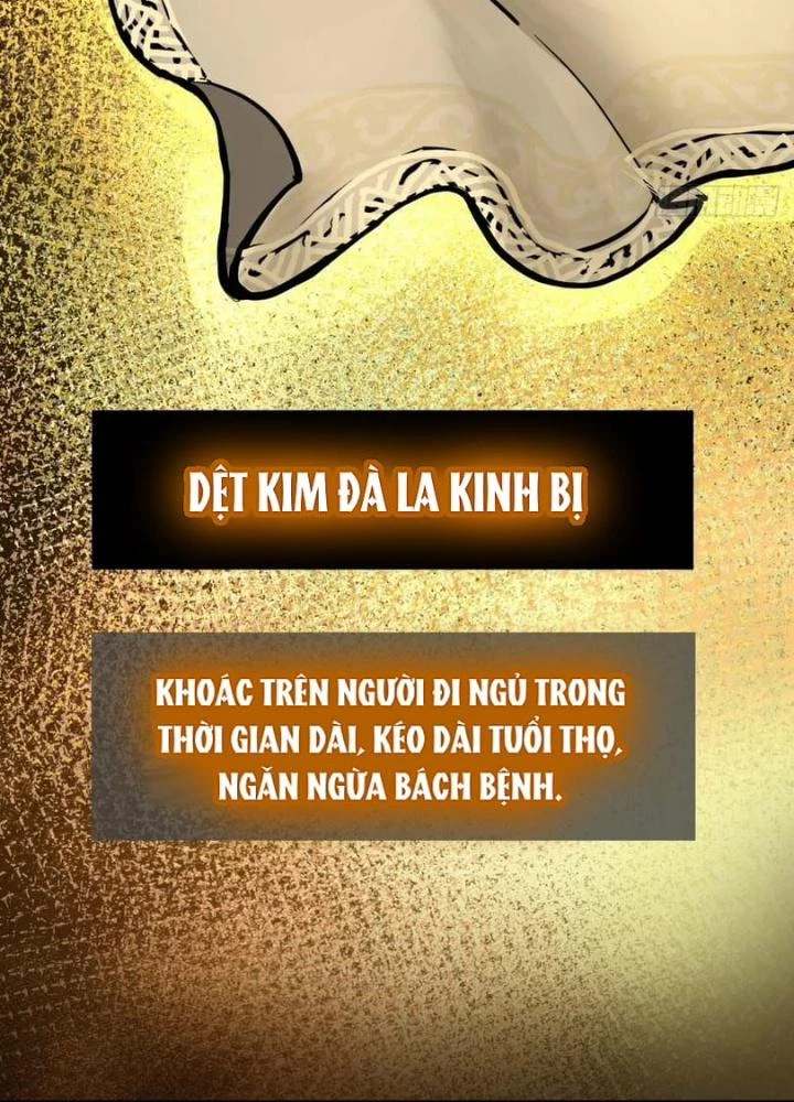 Xuyên Không Thành Chim Chapter 244 - Next Chapter 245