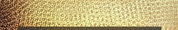 Xuyên Không Thành Chim Chapter 244 - Next Chapter 245