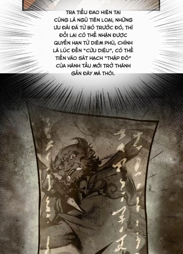 Xuyên Không Thành Chim Chapter 250 - Trang 2