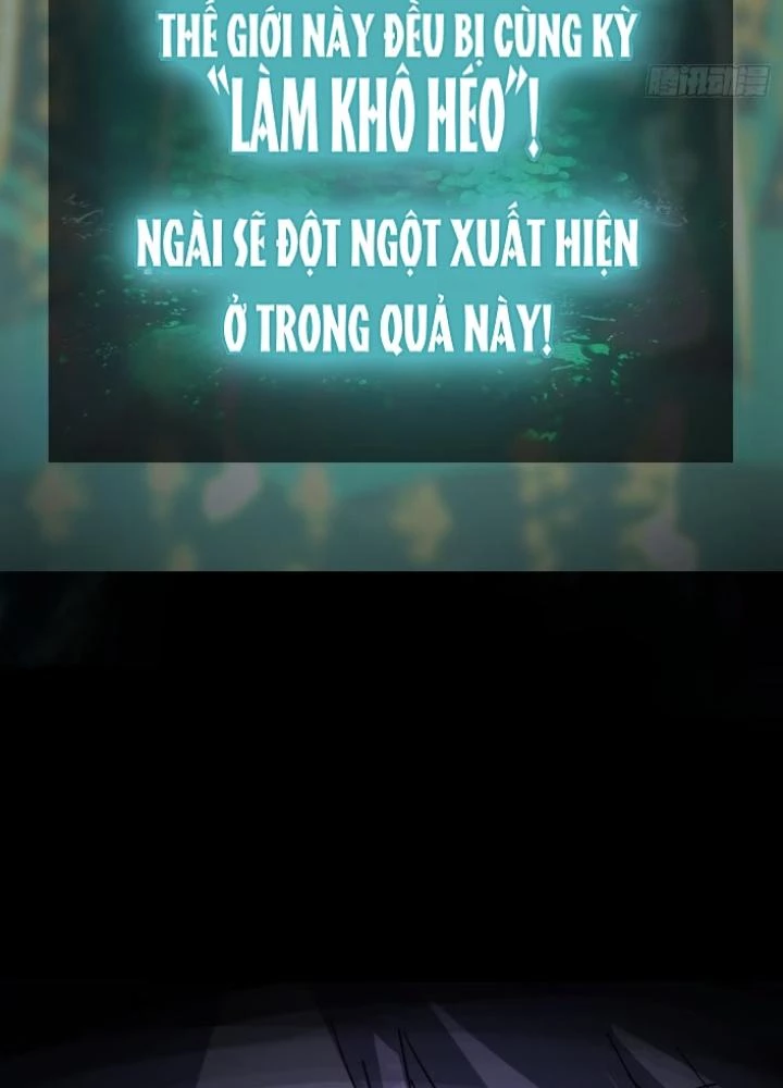 Xuyên Không Thành Chim Chapter 251 - Trang 2