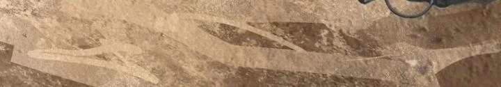 Xuyên Không Thành Chim Chapter 252 - Next Chapter 253