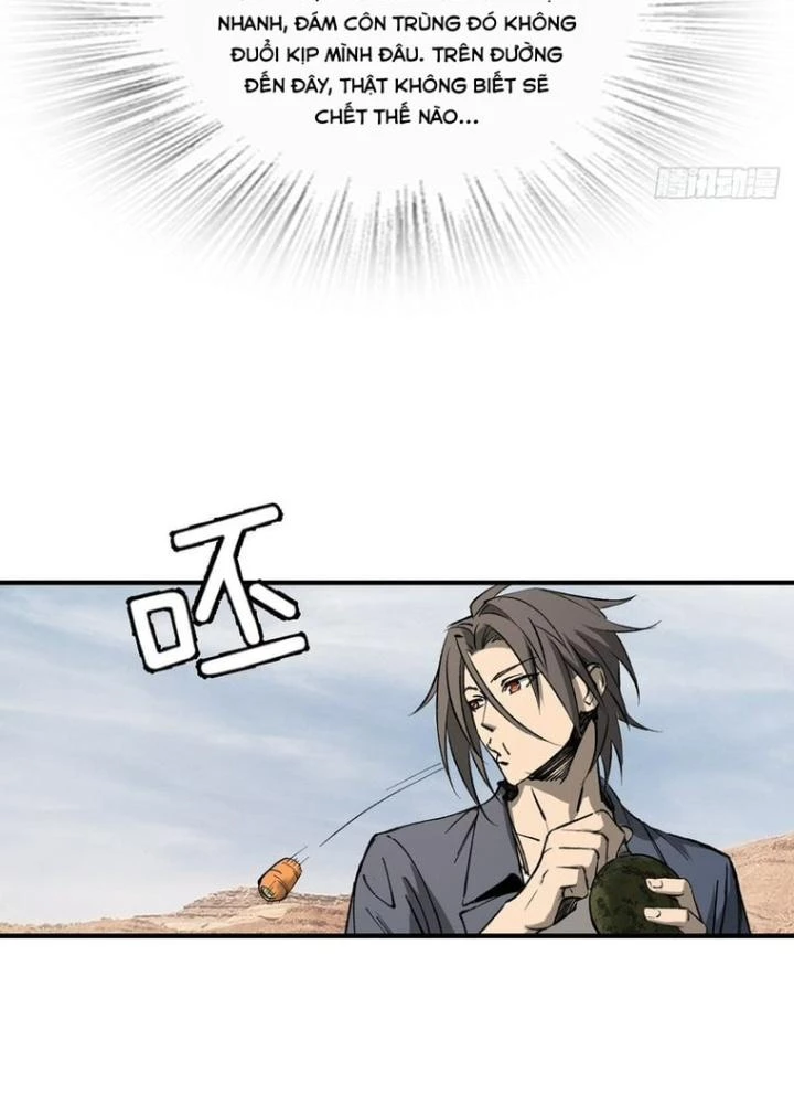 Xuyên Không Thành Chim Chapter 252 - Trang 2