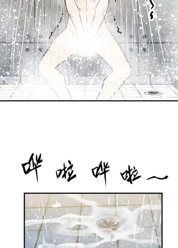 Xuyên Không Thành Chim Chapter 258 - Next Chapter 259