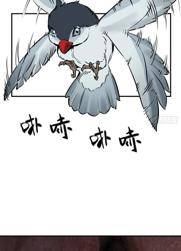 Xuyên Không Thành Chim Chapter 264 - Trang 2