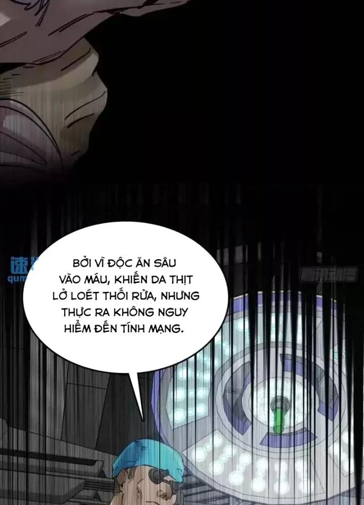 Xuyên Không Thành Chim Chapter 269 - Next Chapter 270