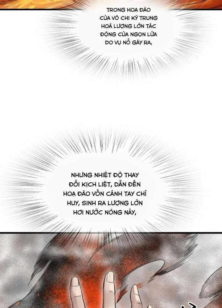 Xuyên Không Thành Chim Chapter 278 - Trang 2