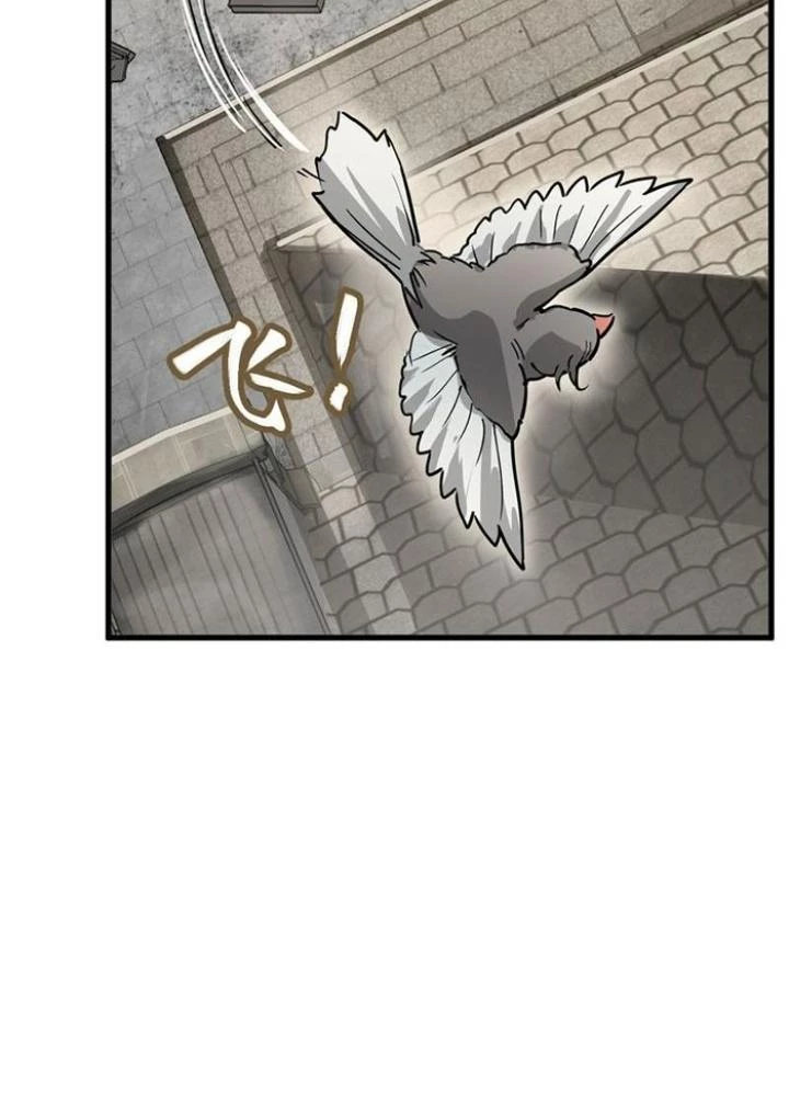 Xuyên Không Thành Chim Chapter 290 - Next Chapter 291