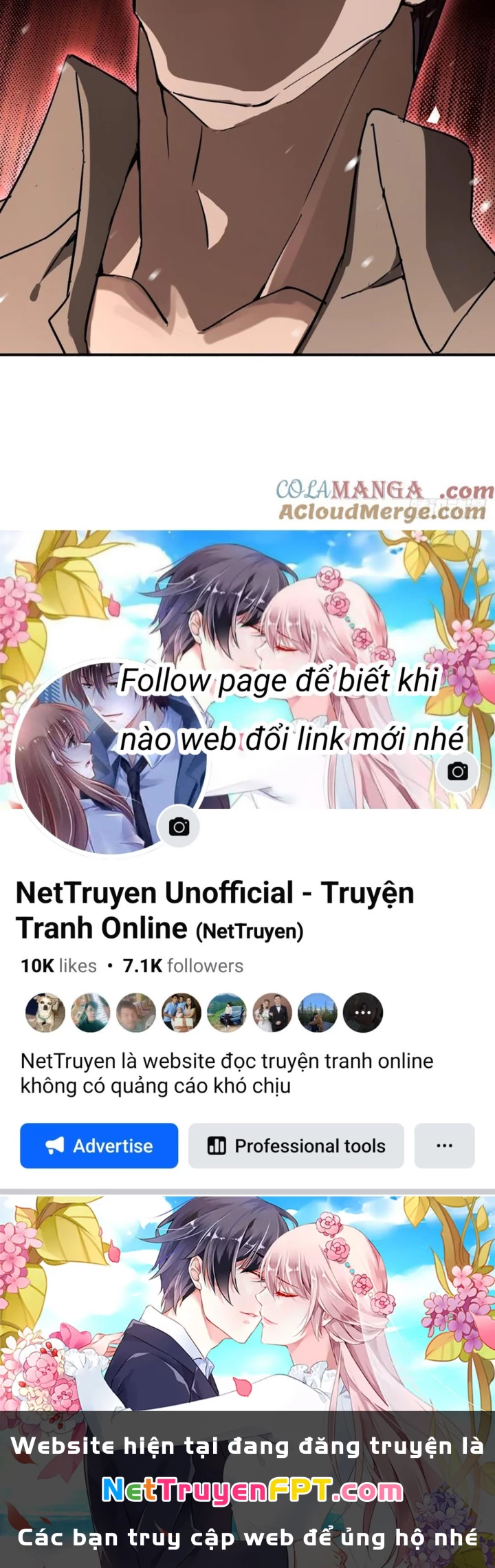 Xuyên Không Thành Chim Chapter 295 - Trang 2