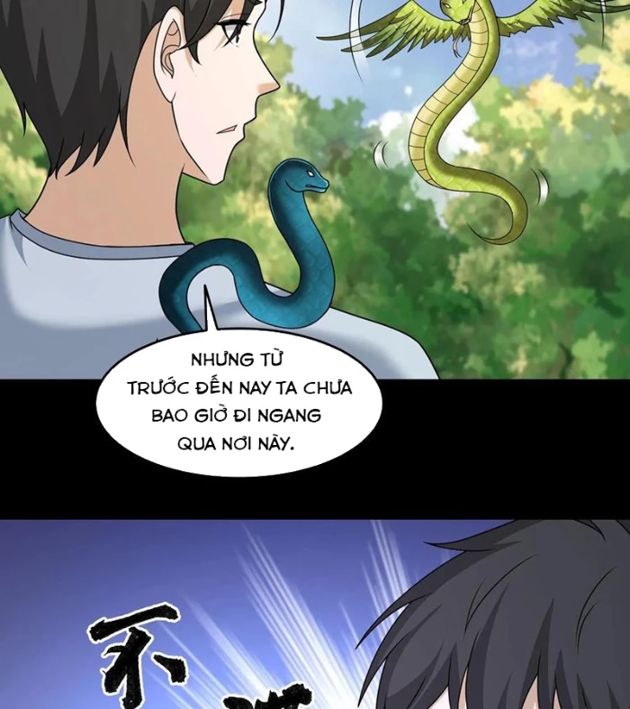 Ngày Tôi Sinh Ra, Bách Quỷ Dạ Hành, Tuyết Thi Hộ Đạo Chapter 610 - Next Chapter 611