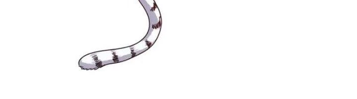 Ta Cày Level Từ Trong Gương Chapter 58 - Trang 3